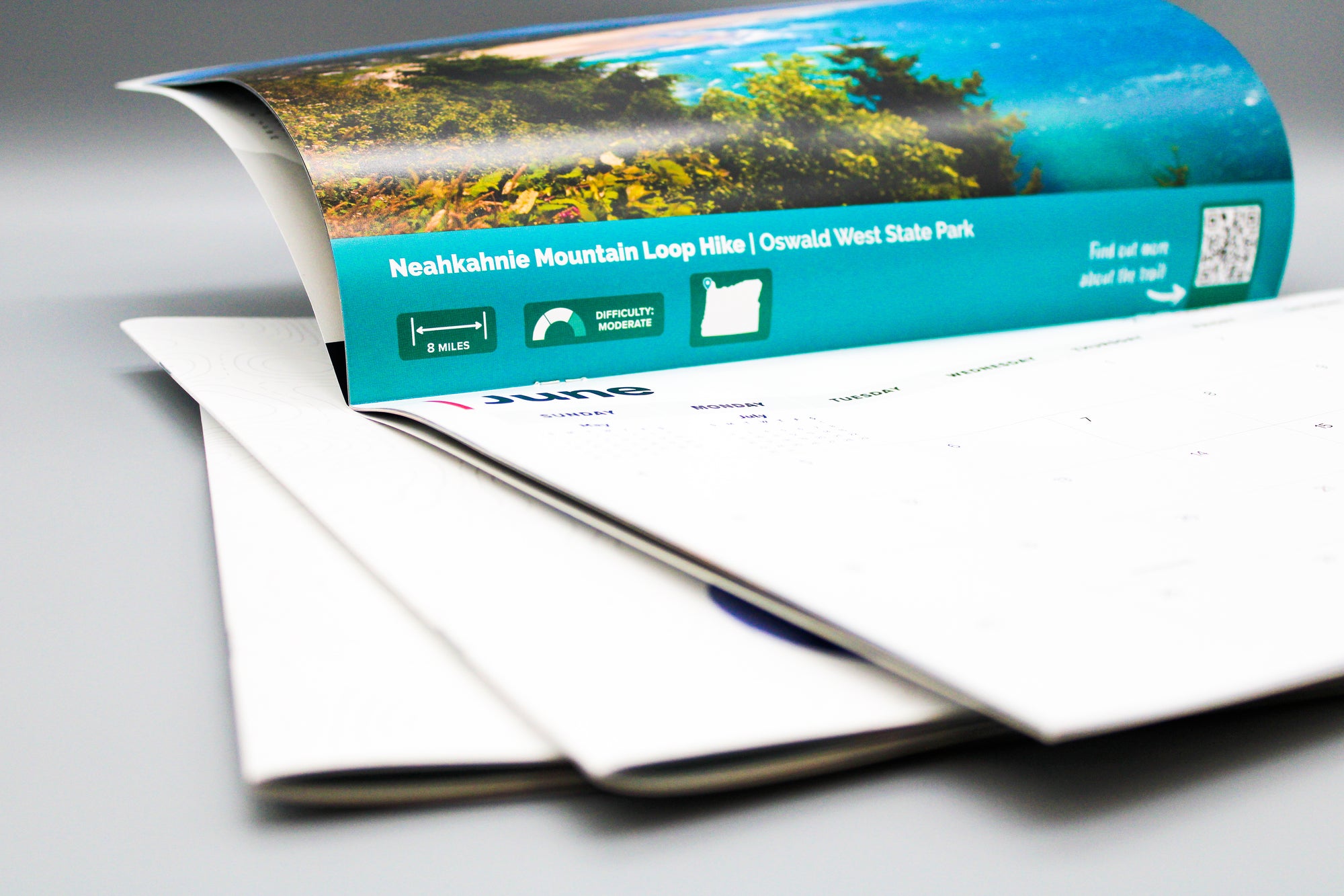 Catalyst Graphics Printing Mailing Warehousing